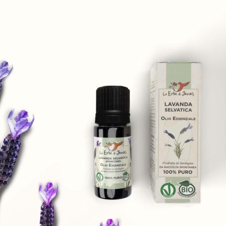 Olio Essenziale di Lavanda Selvatica Stecade BIO (5ml)