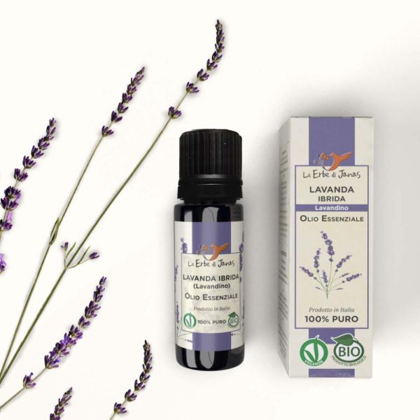 Olio Essenziale di Lavanda Ibrida BIO (10ml)