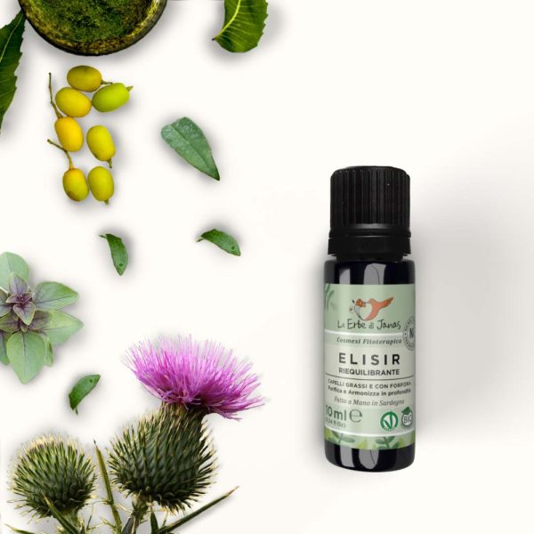 Elisir Riequilibrante per Capelli Grassi e con Forfora BIO (10ml)